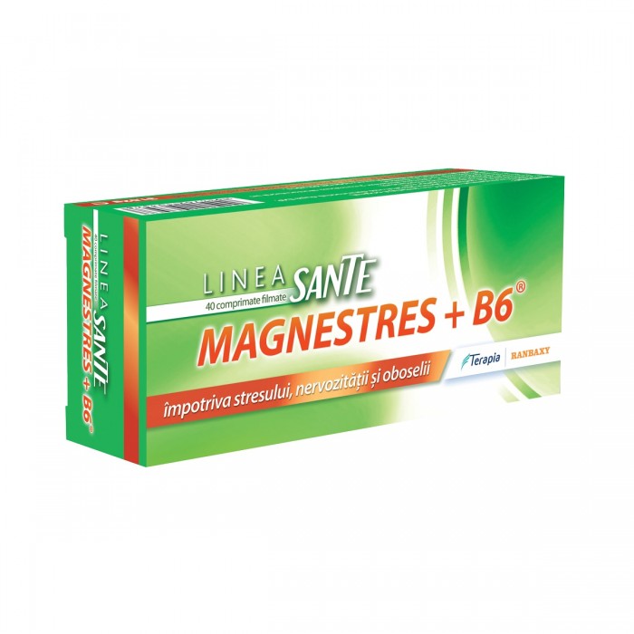 Magne Stress B6 x 40 cpr (linea sante)