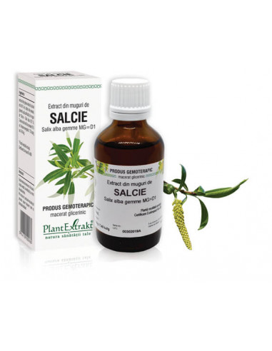 Salix alba muguri (muguri salcie), 50ml, PLANTEXTRAKT CLUJ