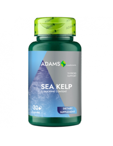 Sea Kelp - Iod Natural - 600mg 30capsule, Adams