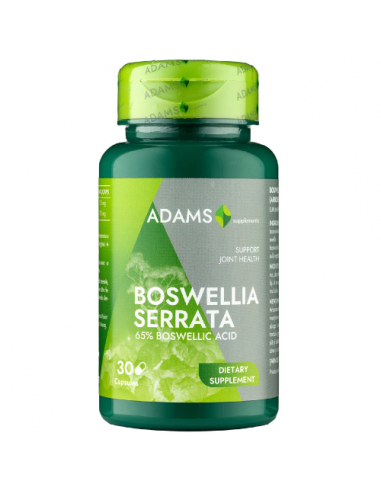 Boswellia Serata - Extract Tamâie,  30capsule, Adams