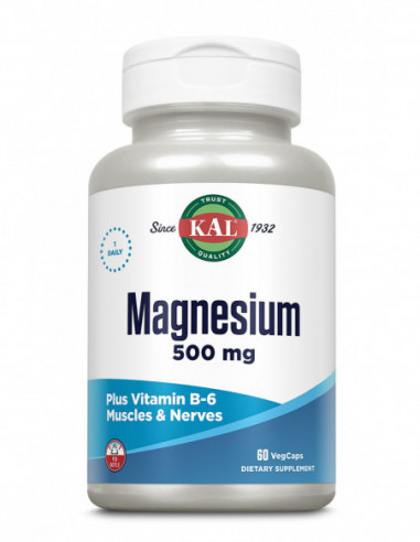 Magnesium 500 mg, 60 capsule, Secom