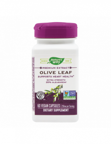 Olive leaf 20% SE, 60 capsule, Secom