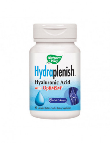 Hydraplenish MSM, 60 capsule, Secom