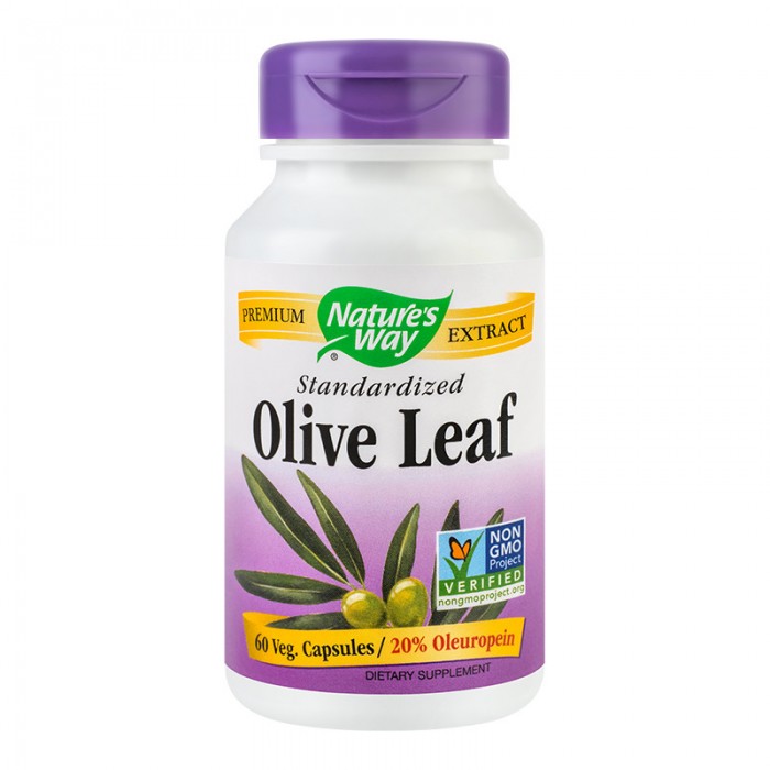 Olive leaf 20% SE, 60 capsule, Secom