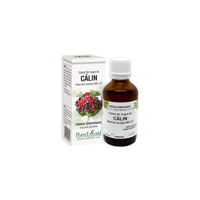 Viburnum lant. (muguri calin) 50 ml