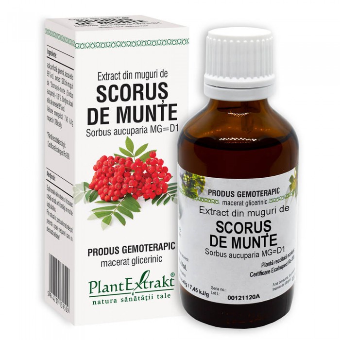 Sorbus acuparia (muguri scorus de munte), 50 ml, Plantextrakt