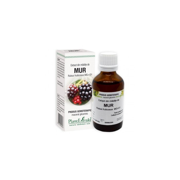 Rubus fruct. (mladite mur) 50 ml