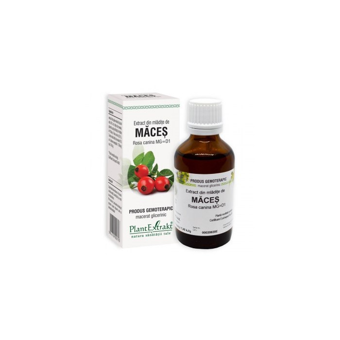 Rosa canina (mladite maces) 50 ml