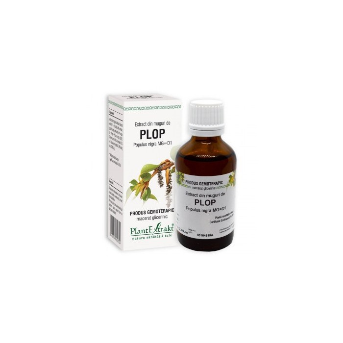 Populus nigra (muguri plop) 50 ml