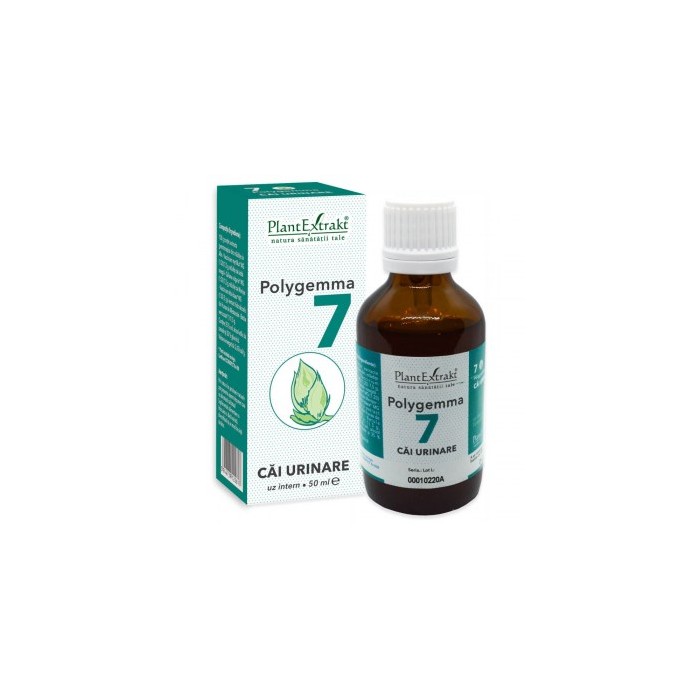 Polygemma nr 7 50ml (cai urinare)