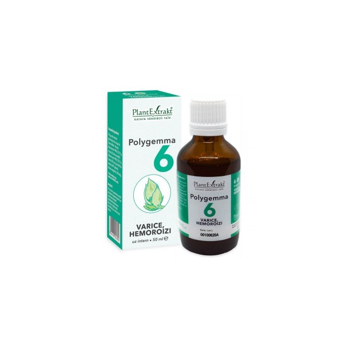 Polygemma nr 6 50ml (varice-hemoroizi)