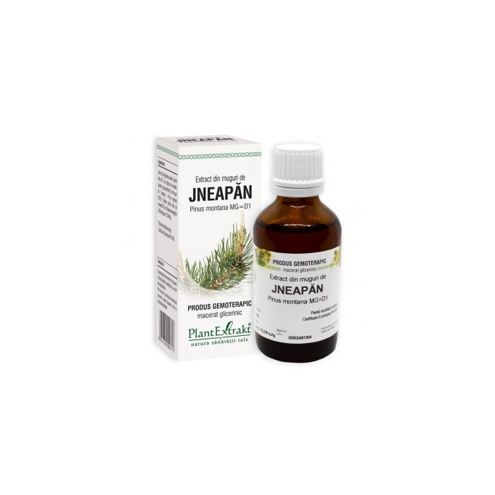 Pinus mont. (muguri jneapan) 50 ml