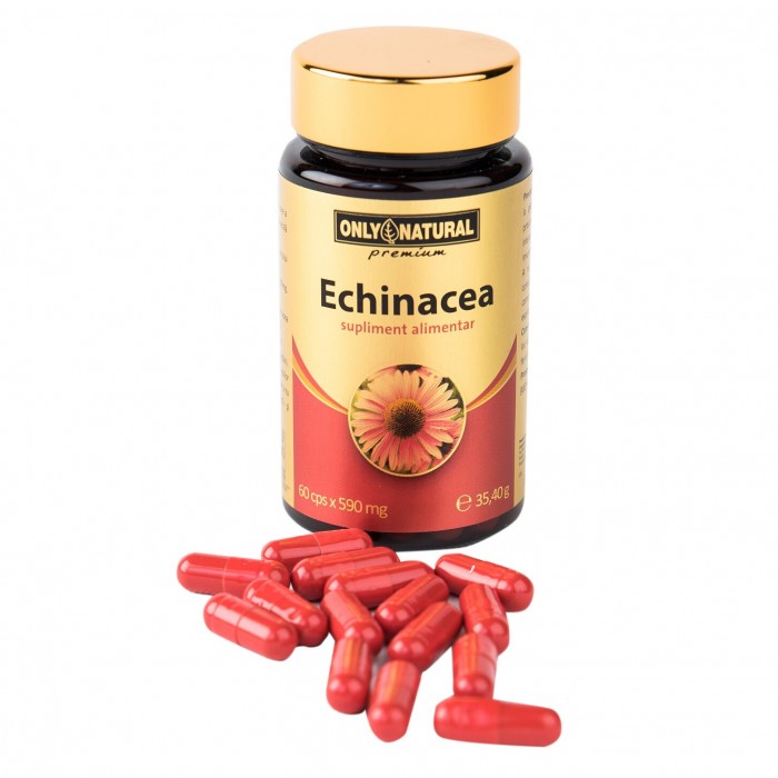 On echinacea x 60 cps