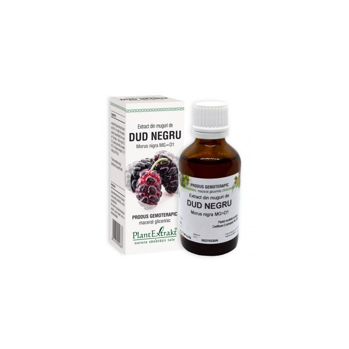 Morus nigra (muguri dud negru) 50 ml