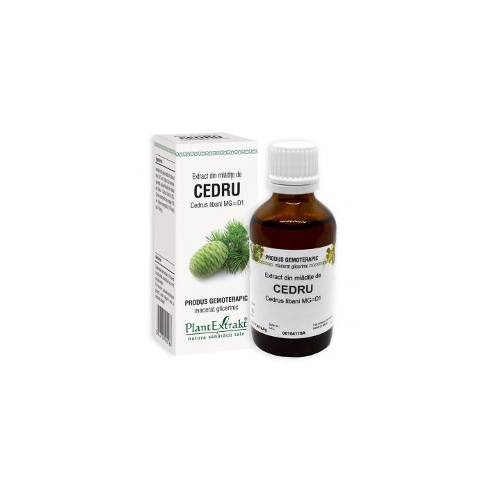 Cedrus libani (mladite cedru) 50 ml