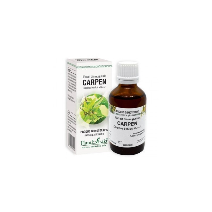 Carpinus betulus (muguri carpen) 50 ml