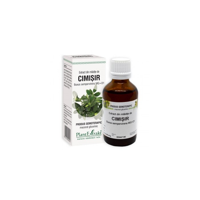 Buxus sempervirens (mladite cimisir) 50ml